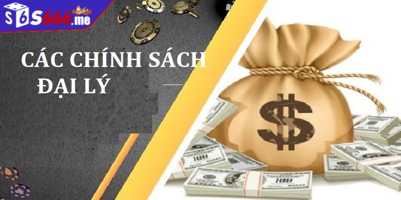 Người đăng ký phải từ 18 tuổi trở lên và có trách nhiệm với công việc đại lý