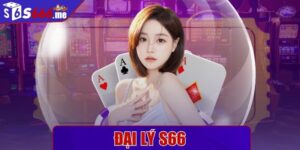 Đại lý S66