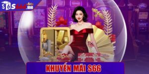 Khuyến mãi s66