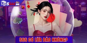 S66 có lừa đảo không