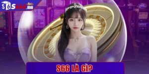 S66 là gì