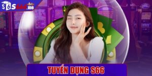 Tuyển dụng S66