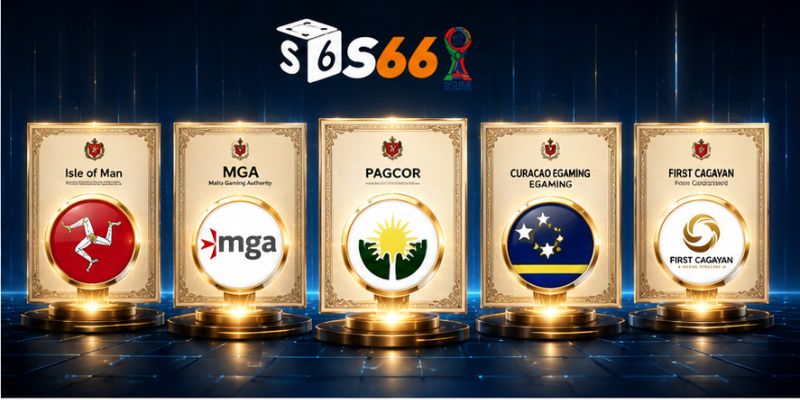 Những Giấy Phép Hoạt Động S66 Đang Sở Hữu