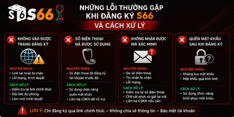 Những lỗi thường gặp khi đăng ký S66 và cách xử lý